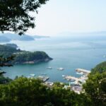 Jeonju & Yeosu: 4-Day Foodie & Artist Journey - Practical Details and Value