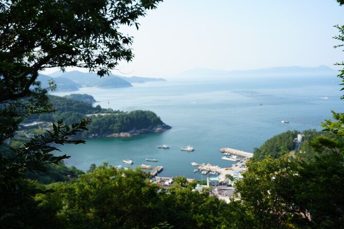 Jeonju & Yeosu: 4-Day Foodie & Artist Journey - Practical Details and Value