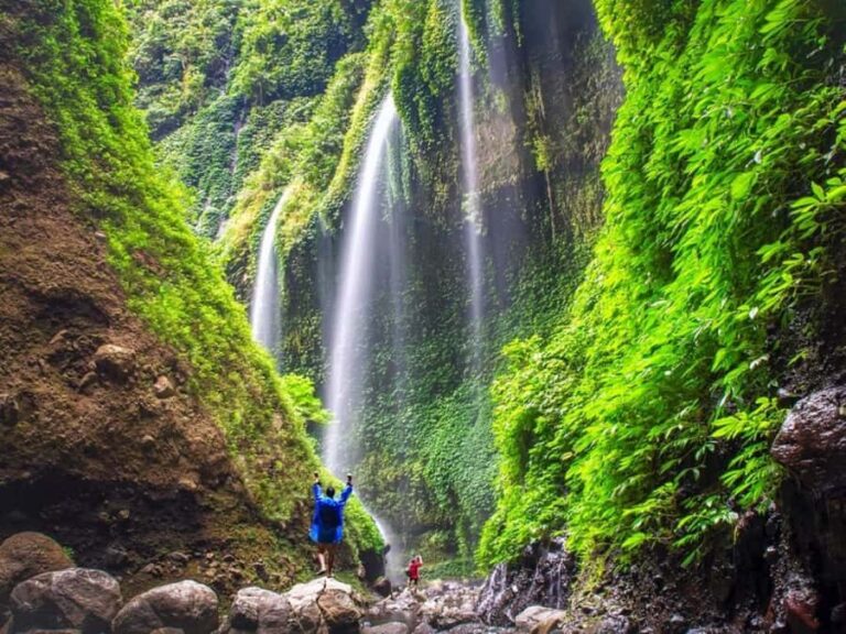 Jepara: 4 Days To Bali Through Waterfall, Mt Bromo, and Ijen - Transportation and Logistics