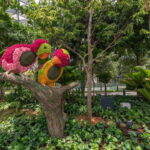 Jewel Changi Airport: Mirror Maze and Canopy Park Ticket - The Maze: Small but Surprising