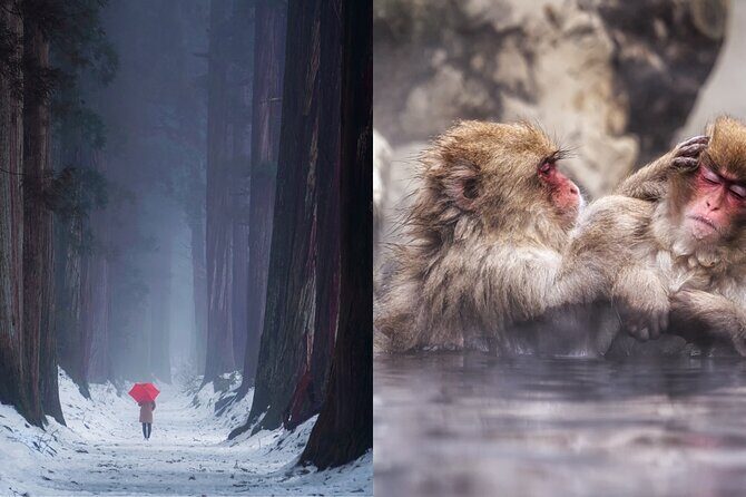 Jigokudani Snow Monkey and Togakushi Shrine Private Tour - The Value of a Private Guided Experience