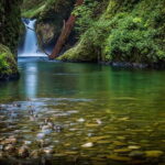 Jim Corbett: 3-Day Safari Tour by Flight from Bangalore - Analyzing the Value and Experience