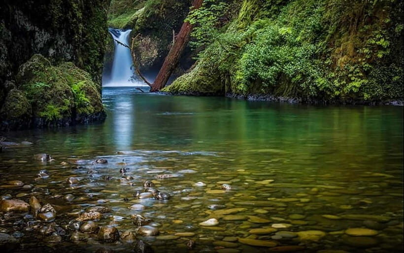 Jim Corbett: 3-Day Safari Tour by Flight from Bangalore - Analyzing the Value and Experience