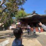 Jindaiji Traditional Temple Purification Tour with Local Soba - Practical Details and What You Need to Know