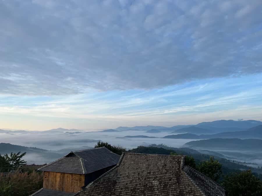 Jingmai Mountain (UNESCO) | Old Tea Forests and Dai Villages - Discovering Jingmai Mountain: A Deep Dive into the Experience