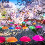 Jinhae Cherry Blossom Festival Gyeonghwa Stn Day Tour from Seoul - Authentic Insights from Reviewers