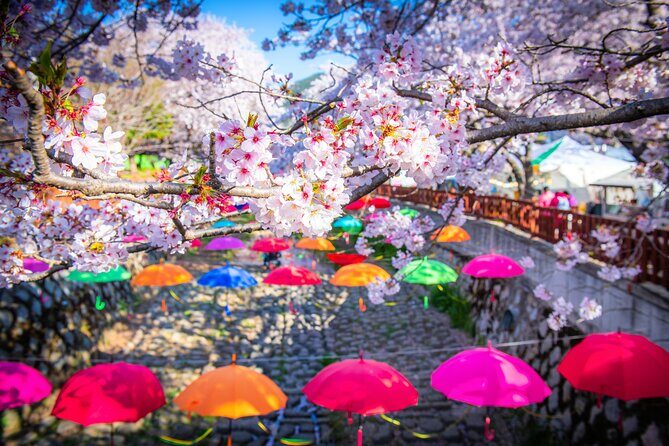 Jinhae Cherry Blossom Festival Gyeonghwa Stn Day Tour from Seoul - Authentic Insights from Reviewers