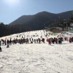 Jisan Forest Ski Resort and Everland 1 Day Tour - An In-Depth Look at the Itinerary
