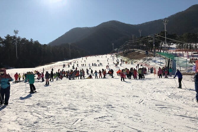 Jisan Forest Ski Resort and Everland 1 Day Tour - The Value of the Tour