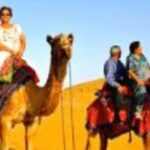 Jodhpur Camel & Jeep Safari with Sunset, Folk Dance, Dinner - Practical Details and Value