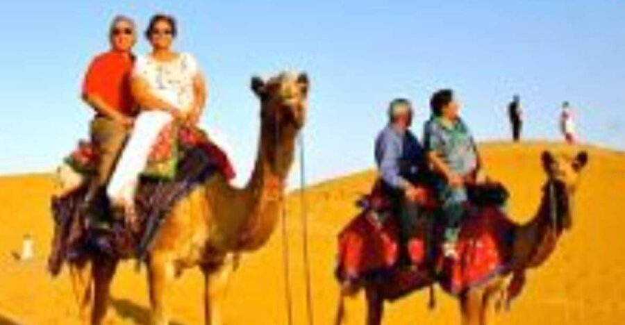 Jodhpur Camel & Jeep Safari with Sunset, Folk Dance, Dinner - Practical Details and Value