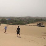 Jodhpur : Jeep Safari, Camel Ride,Buffet Dinner & Folk Dance - The Value of the Experience