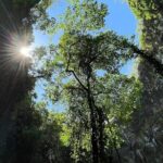 Jomblang and Pindul Cave Small Group Tour With Transfer and Lunch - Final Thoughts