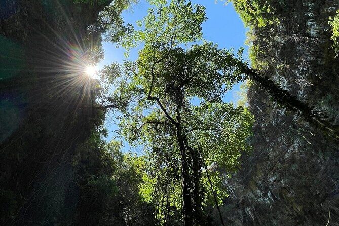 Jomblang and Pindul Cave Small Group Tour With Transfer and Lunch - Final Thoughts