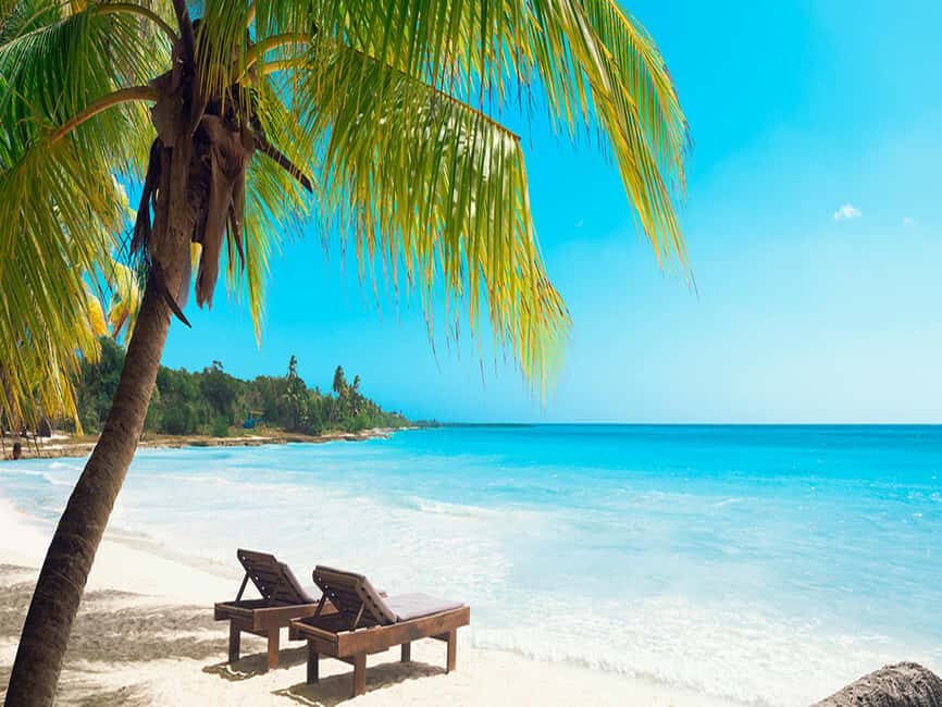 Juan Dolio: Saona Island Full-Day Tour with Lunch and Drinks - Deep Dive into the Itinerary