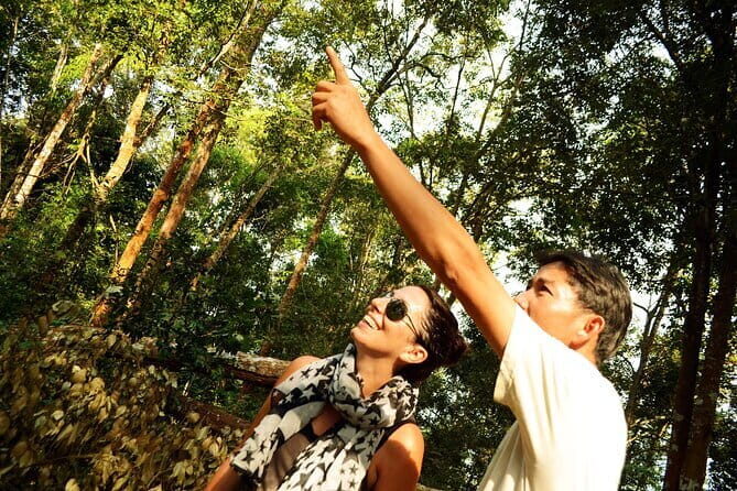 Jungle Experience: 1 Day Trek in Nam Ha NPA - What’s Included and What to Keep in Mind