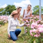 Jurlique Handpicked Masterclass - An In-Depth Look at the Jurlique Handpicked Masterclass