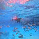 kaafu tour with lunch - Who Should Book This Tour?