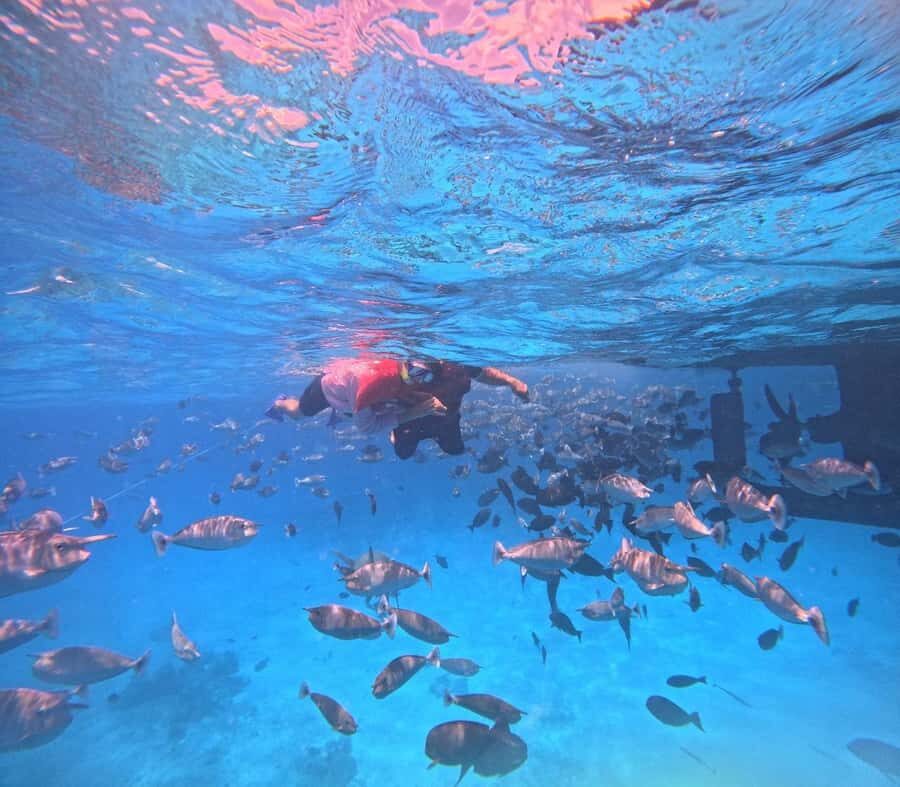 kaafu tour with lunch - Who Should Book This Tour?