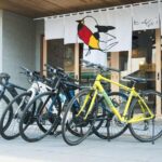 Kagawa: E-Bike Rental to Hidden Udon Recommended by Locals - The Experience Overview
