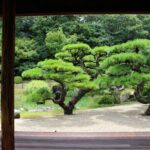Kagawa: Ritsurin Garden Guided Walking Tour - Final Thoughts