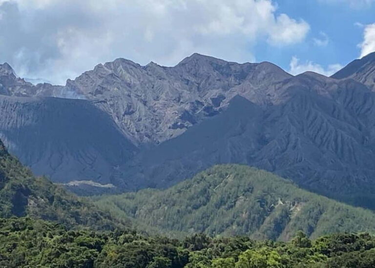 Kagoshima: Volcano, Coast & Hot Springs Guided Tour - Scenic Coastal Strolls at Nagisa Seaside Park
