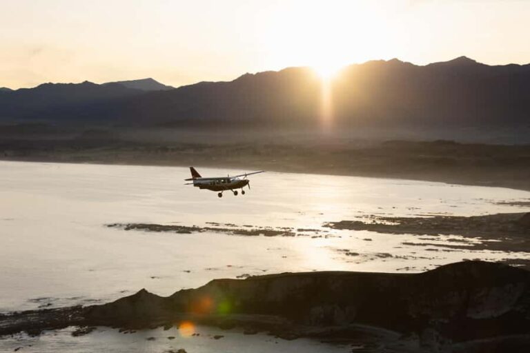 Kaikoura: Whale Watching Flight with Commentary - Why You Should Consider This Tour