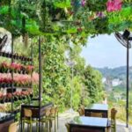 Kajang: Sak Dato Temple, EcoHill Park & Pineapple Farm Tour - Exploring Each Stop in Detail