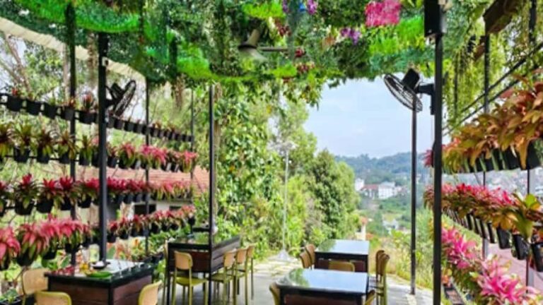 Kajang: Sak Dato Temple, EcoHill Park & Pineapple Farm Tour - Exploring Each Stop in Detail