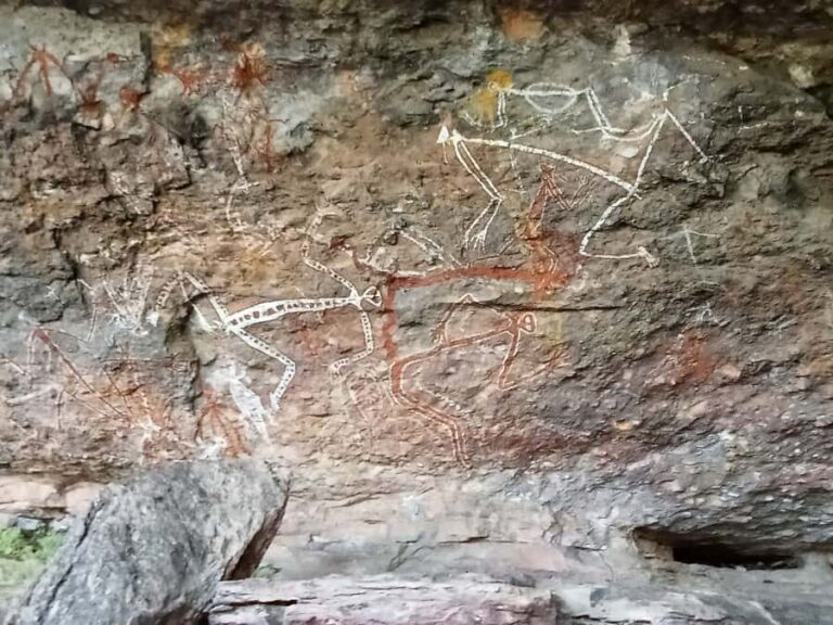 Kakadu Day Tour: Private, Yellow Water, Nourlangie, Ubirr - Why This Tour Offers Great Value