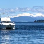 Kakariki Day Time Cruise to Maori Rock Carvings - Why This Tour Offers Great Value