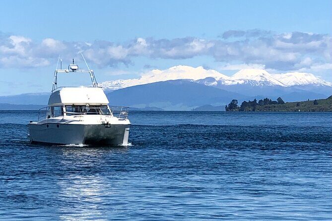 Kakariki Day Time Cruise to Maori Rock Carvings - Why This Tour Offers Great Value