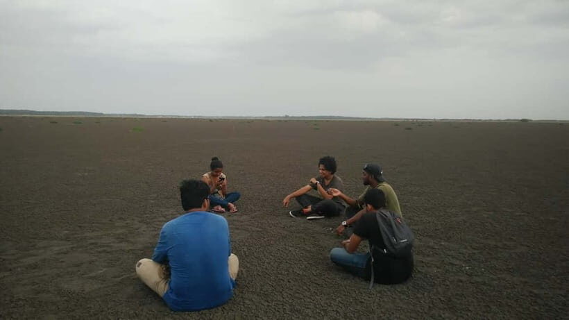 Kaluveli Wetlands Birdwatching Tour with Naturalist - Who Will Love This Experience?  