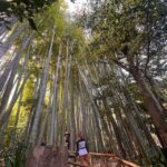 Kamakura and Enoshima: Private Guided Day Tour with Vehicle - What’s Included and What to Expect