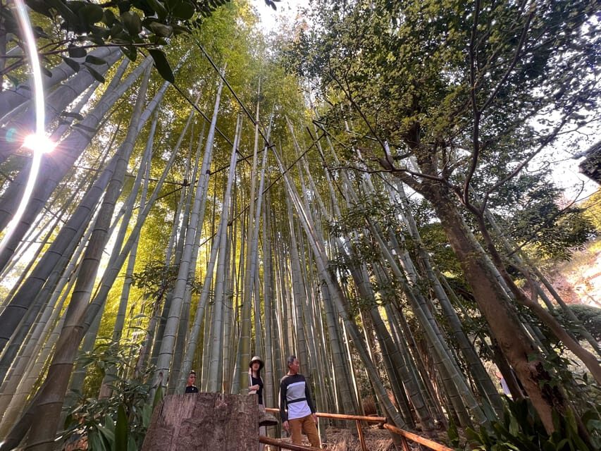 Kamakura and Enoshima: Private Guided Day Tour with Vehicle - What’s Included and What to Expect