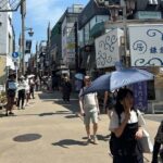 Kamakura and Enoshima Shared Walking Tour - Tsurugaoka Hachimangu Shrine: The Heart of Kamakura
