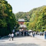 Kamakura and Yokohama Private and Custom Tour with English Driver - Who Will Love This Tour?