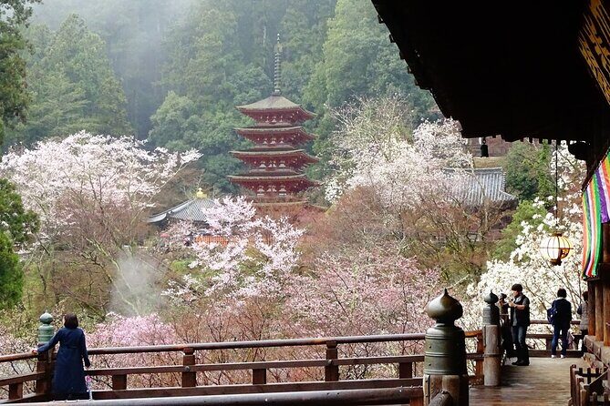 Kamakura and Yokohama Private Tour with Bilingual Chauffeur - What Reviewers Are Saying