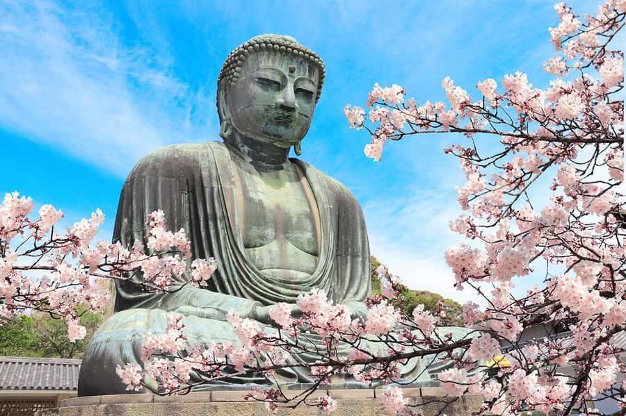 Kamakura: Cherry Blossom Full Day Tour with Expert Guide - Why Choose This Tour?