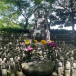 Kamakura: Craft Music Box & Discover Japan's Biggest Buddha! - Analyzing the Value and Practicalities