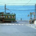 Kamakura/Enoshima/Yokohama Day Trip from Tokyo in Private Van - The Sum Up