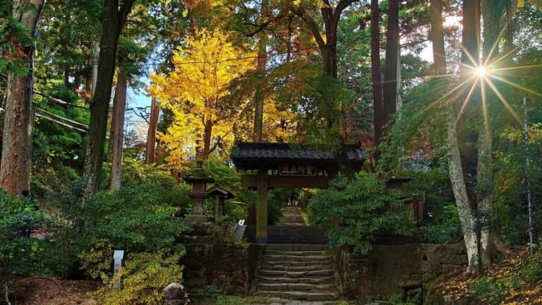 Kamakura: Great Buddha Hike, Hidden Shrines & Zen Temples - Who Will Love This Tour?