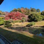 Kamakura: King of Hell, Tsurugaoka Shrine & Zen Tour - A Walk Through Komachi Street