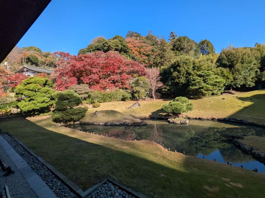Kamakura: King of Hell, Tsurugaoka Shrine & Zen Tour - A Walk Through Komachi Street