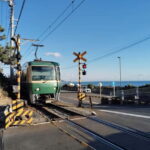 Kamakura: Temples, Shrines & Buddha Walking Tour - The Practicalities: What’s Included and What to Know