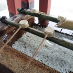 Kamakura: Tsurugaoka Hachimangu & Komachi Street Tour - Who Should Consider This Tour?