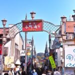 Kamakura & Yokohama: 1-Day Private Van Tour with Hotel Pick-Up - Who Is This Tour Best For?