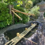 Kamakura:Largest Wooden Buddha, Temples, Cultural Experience - What You Can Expect on the Tour