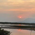 Kampot: Lotus Pond, Wat Traeuy Kaoh, and Coconut Beach Tour - Why This Tour Is a Great Choice