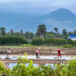 Kampot: Salt Fields, Pepper Farm, and Secret Lake Tour - What’s Included & What to Expect